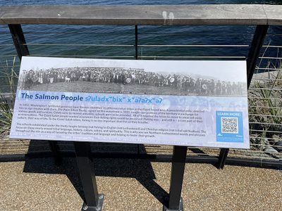 The Salmon People