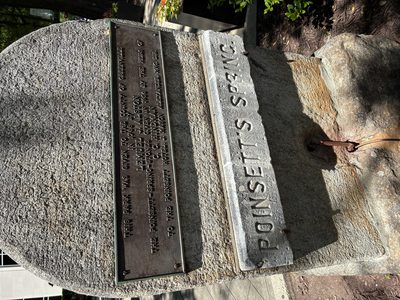 Poisett's Spring Stone