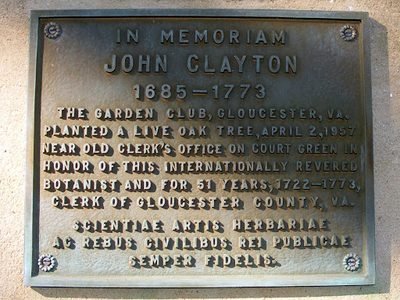 In Memoriam John Clayton