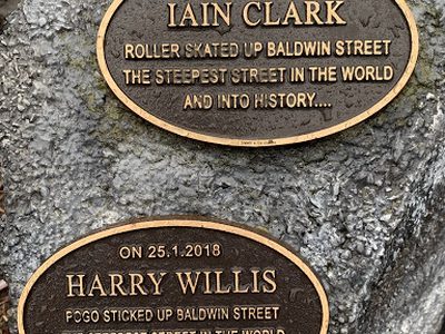Baldwin Street, the Steepest Street in the World