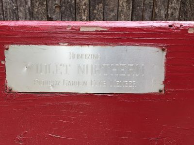 Violet Bench