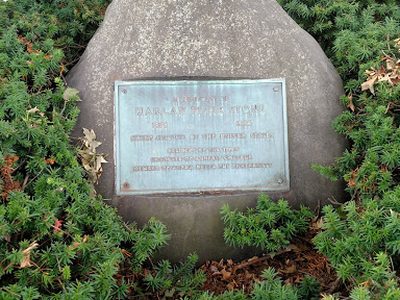 Chief Justice Harlan Fiske Stone