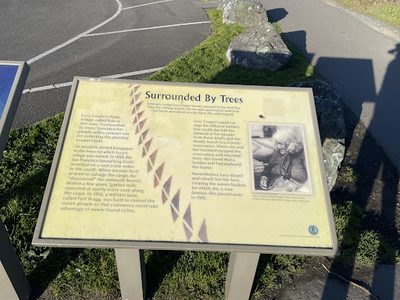 Surrounded by Trees