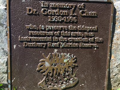 Dr. Gordon L. Chan