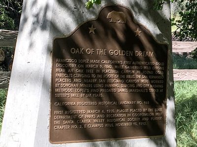 Oak of the Golden Dream