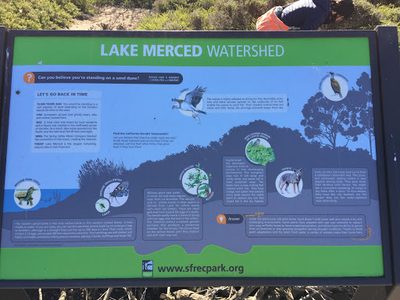 Lake Merced Watershed