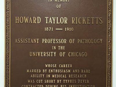 Howard Taylor Ricketts