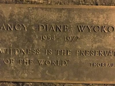 Nancy Diane Wyckoff Memorial Tree