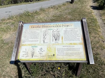 Grazing Demonstration Project