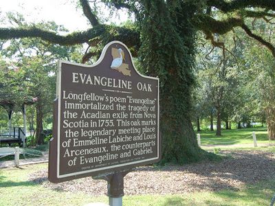Evangeline Oak