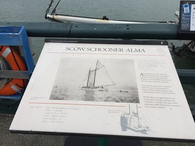 Scow Schooner Alma