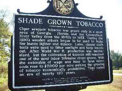 Shade Grown Tobacco (Side 2)