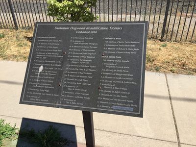 Dunsmuir Dogwood Beautification