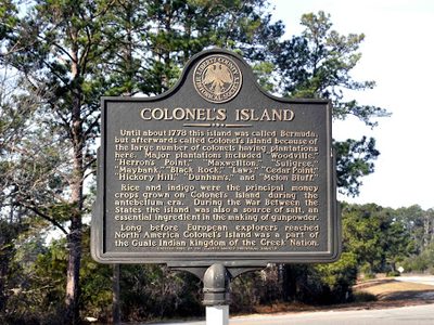 Colonel's Island