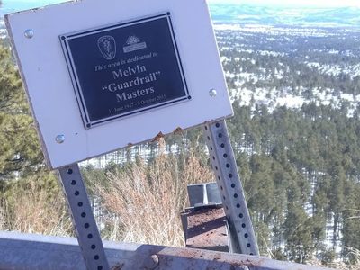 Melving "Guardrail" Masters