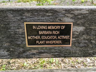 Barbara Rich