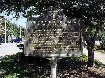 William Arthur Fickling, Sr. Father of Cherry Blossoms