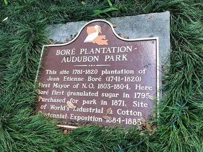 Boré Plantation - Audubon Park