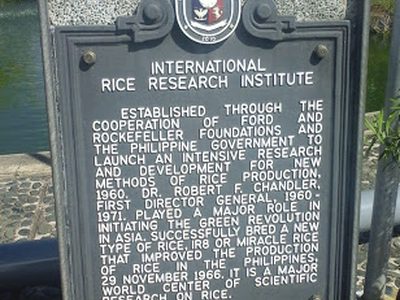 International Rice Research Institute historical marker