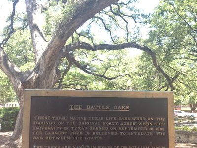 The Battle Oaks