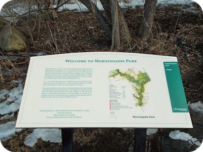 Welcome to Morningside Park