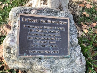 The Robert J. Nash Memorial Grove