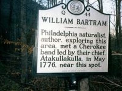 WILLIAM BARTRAM