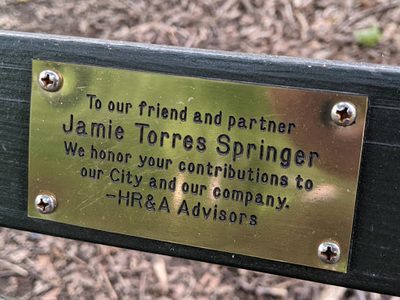 Jamie Torres Springer