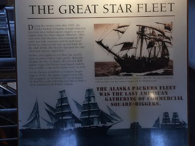 The Great Star Fleet