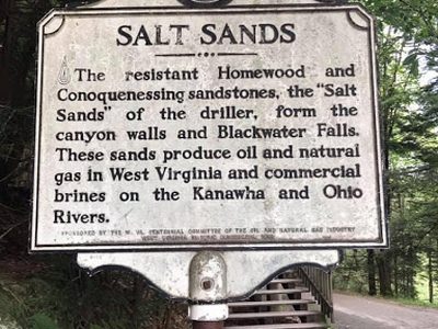 Salt Sands
