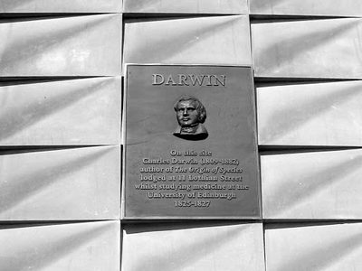 Darwin