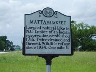 MATTAMUSKEET
