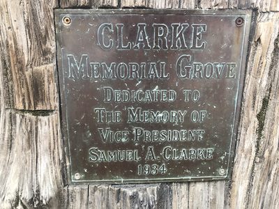 Clarke Memorial Grove
