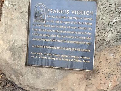 Francis Violich
