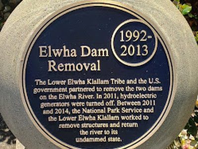 Elwha Dam Removal
