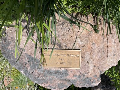 Gift of the Orinda Garden Club