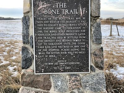 The Bone Trail