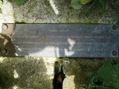 In memory of John "Earthquake" Milne