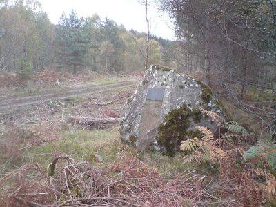 John Trower Wood