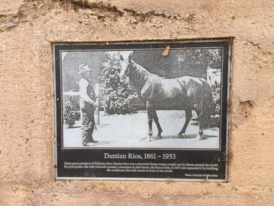 Damian Rios