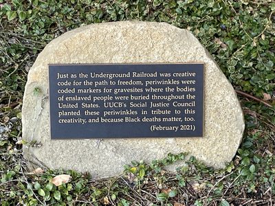 Underground Railroad: Periwinkles