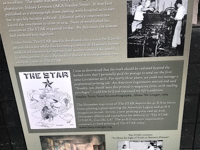 The Star - Carville's Patient-Published Newspaper