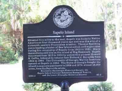 Sapelo Island