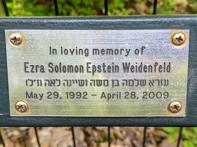 Ezra Solomon Epstein Weidenfeld