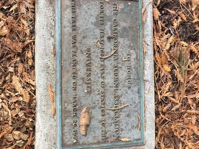 The California Alumni Association Centennial
