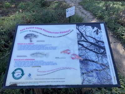 San Pablo Creek Restoration Project