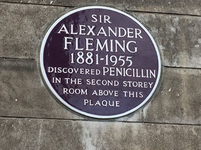 Penicillin