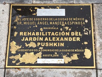 Pushkin Df