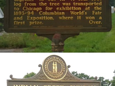 Famous Tree / Indian Creek Church