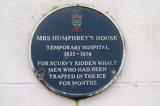 For Scurvy Ridden Whale Men